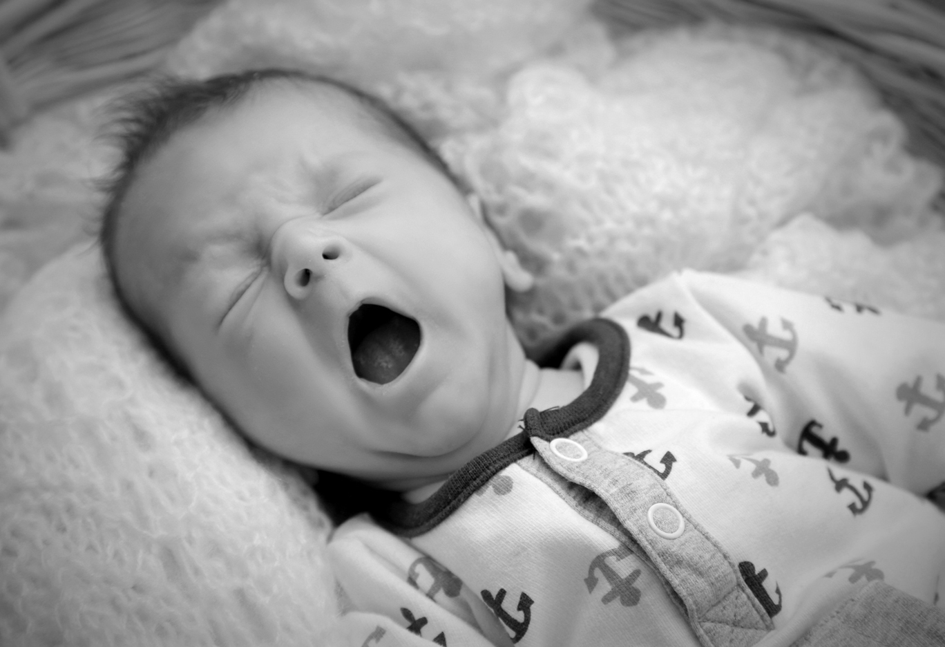 B 06 72 dpi  SW OB Fotostudio 900423 BT1 hp